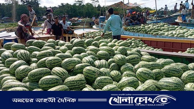 নাজিরপুরে বেলুয়া নদীতে ৭০ বছর ধরে মিলছে ভাসমান তরমুজের হাট