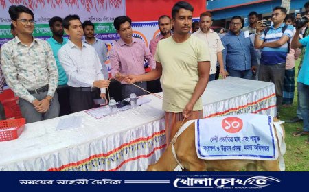 নাজিরপুরে গরু বিতরণে গড়মিল, সাংবাদিকদের হেনস্তা