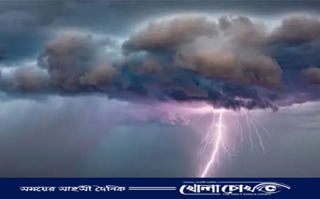 নওগাঁর পত্নীতলায় বজ্রপাতে কিশোরের মৃত্যু