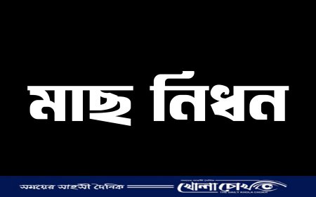 বিষ প্রয়োগে ২০ লাখ টাকার মাছ নিধনের অভিযোগ