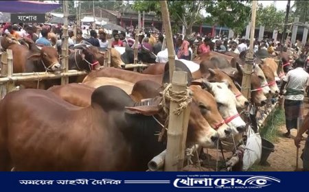 রাজশাহীতে গরুরহাট নিয়ে উত্তেজনা, দুই পক্ষের ইজারাদার মুখোমুখি