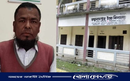 ফুলবাড়িয়ায় ‘কমার্স’ শাখা ছাড়াই ১২ বছর ধরে সরকারি বেতন নিচ্ছেন শিক্ষক