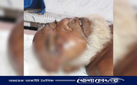 নোয়াখালীতে গাছের ঢাল কাটাকে কেন্দ্র করে বৃদ্ধাকে পিটিয়ে হত্যা