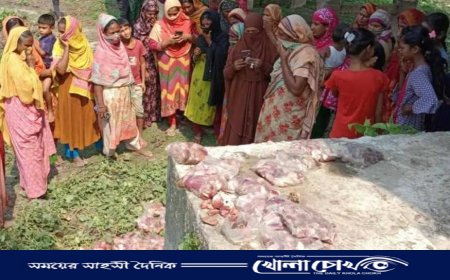 নওগাঁয় রাস্তার পাশে পরিত্যক্ত ৮৪ প্যাকেট মাংস উদ্ধার