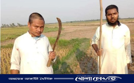 নওগাঁয় বর্গা চাষীদের উপর দুর্বৃত্তদের হামলা, আটক - ২