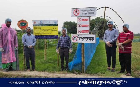 নবীনগরে প্রথমবারের মতো গ্যাপ পদ্ধতিতে লাউ ও বেগুন আবাদ