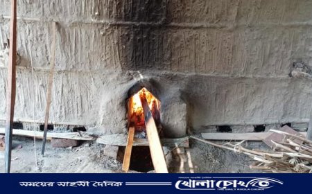 তামাক চাষের বিস্তারে ফরিদপুরে বনাঞ্চল উজাড়, বাড়ছে স্বাস্থ্যঝুঁকি