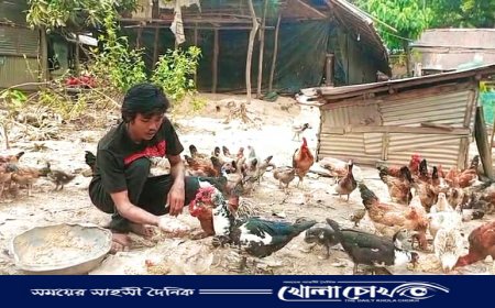 ছাগল ও মুরগির খামার করে স্বাবলম্বী কাপ্তাইয়ে সাজাই উ মারমা