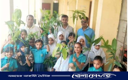 নবীনগরে স্কুল শিক্ষার্থীদের উপহার স্বরূপ গাছের চারা বিতরণ