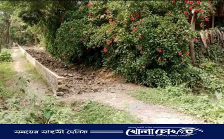 হাতিয়ায় আদালতের নিষেধাজ্ঞা অমান্য করে জমি ও চলাচলের পথ দখলের অভিযোগ