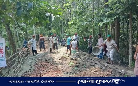 পিরোজপুরে জামায়াতের স্বেচ্ছাশ্রমে রাস্তা সংস্কার