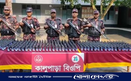 নওগাঁয় সীমান্ত থেকে পরিত্যক্ত অবস্থায় ৬০৯ বোতল ফেনসিডিল উদ্ধার