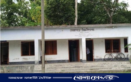 ভুয়া সনদে আগৈলঝাড়ায় বিদ্যালয়ের সভাপতি নির্বাচিত হওয়ার অভিযোগ