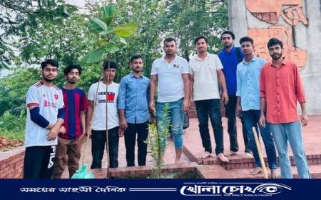 কুবিতে ছাত্রদলের বৃক্ষরোপণ কর্মসূচি বাস্তবায়ন