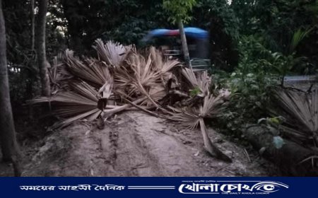 ফরিদপুরের সালথায় অর্ধশত বছরের চলাচলের পথ বন্ধ করে নতুন ঘর নির্মাণের অভিযোগ