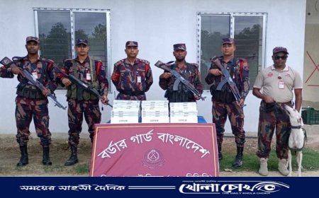 কাজু বাদাম, আমের ক্যারেট ও তামাকের প্যাকেটে মায়ানমার থেকে সিগারেট পাচার