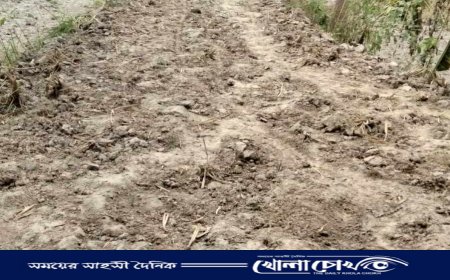 সরেজমিনে গিয়ে সোনাইমুড়িতে সড়ক সংস্কারে অনিয়মের অভিযোগের সত্যতা মেলেনি