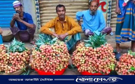 প্রতিদিন কোটি টাকার লিচু বেচাকেনা: জমজমাট ব্রাহ্মণবাড়িয়ার আউলিয়া বাজার