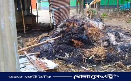 ব্রাহ্মণবাড়িয়ায় পুড়িয়ে দেয়া হয়েছে প্রতিপক্ষের ৫০ ঘর, স্বর্ণালংকার ও গরু লুট