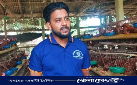 কাপ্তাইয়ের লেয়ার জাতের মুরগীর খামার করে সফল উদ্যোক্তা মো: আব্দুর রহিম
