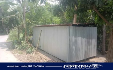 জমি নিয়ে বিরোধে মামা-ভাগ্নে: আদালতের রায় পরেও জমি দখলের অভিযোগ