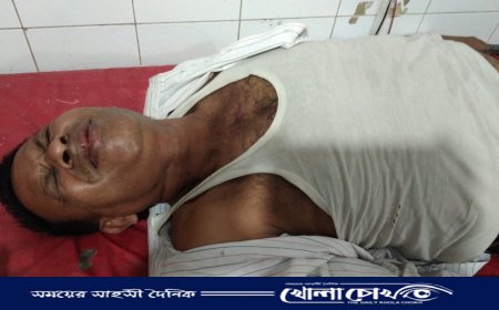 ঢাকা-মাওয়া এক্সপ্রেসওয়েতে ‘সাংবাদিক’ স্টিকার লাগানো প্রাইভেট কারে ছিনতাই