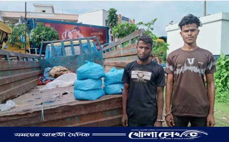 সরাইলে ১০ কেজি গাঁজাসহ ২ মাদক কারবারি গ্রেপ্তার