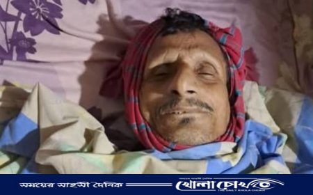 ঈদের ছুটিতে এসে প্রাণ গেল প্রবাসীর