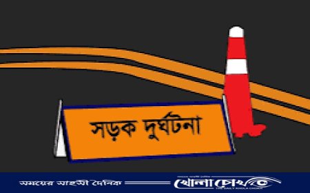 ফরিদপুরে ট্রাকচাপায় নিহত ১