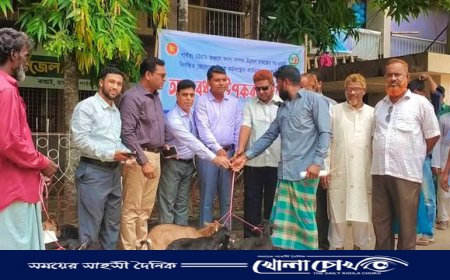 কাপ্তাইয়ে প্রান্তিক মৎস্যজীবীদের মাঝে ছাগল বিতরণ