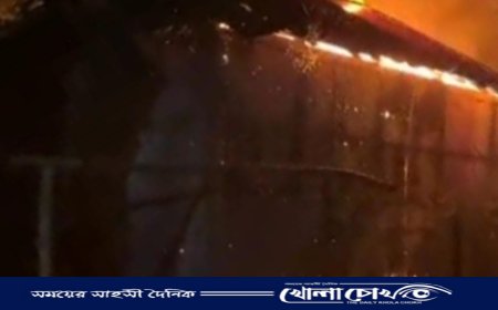 ফরিদপুরে দুই ভাইয়ের বাড়িতে অগ্নিকাণ্ড, ক্ষয়ক্ষতি ৩ লাখ টাকা