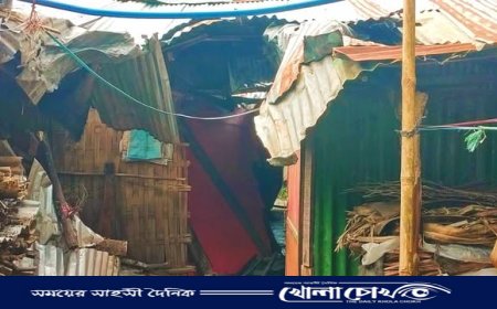 কাপ্তাইয়ে বন্য হাতির তাণ্ডব: সাম্পান মাঝির ঘরবাড়ি গুঁড়িয়ে ধান-ফসল খেয়ে সাবাড়