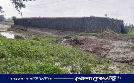 আগৈলঝাড়ায় সরকারি খাল খননে অনিয়ম, চাপে নীরব কৃষকরা