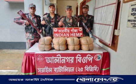 বিজয়নগরে ৬৪ লাখ টাকার চোরাচালানী পণ্য জব্দ