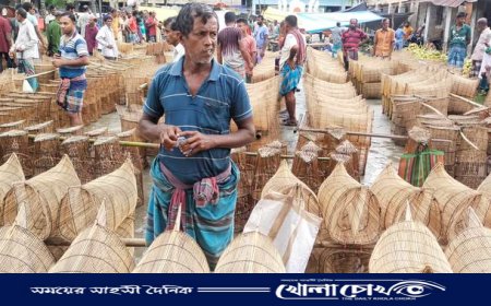 পিরোজপুরের নাজিরপুরে জমে উঠেছে মাছ ধরা যন্তের হাট