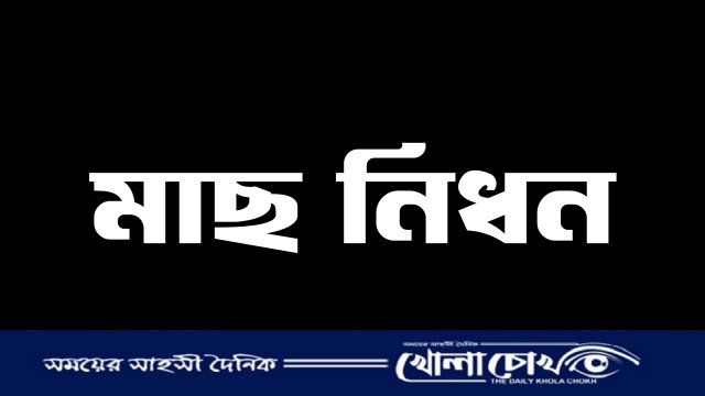 বিষ প্রয়োগে ২০ লাখ টাকার মাছ নিধনের অভিযোগ
