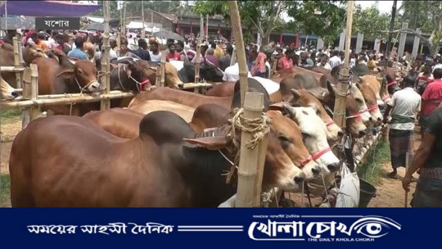 রাজশাহীতে গরুরহাট নিয়ে উত্তেজনা, দুই পক্ষের ইজারাদার মুখোমুখি