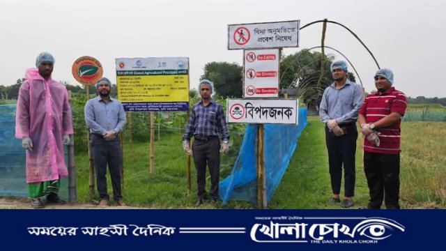নবীনগরে প্রথমবারের মতো গ্যাপ পদ্ধতিতে লাউ ও বেগুন আবাদ