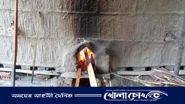 তামাক চাষের বিস্তারে ফরিদপুরে বনাঞ্চল উজাড়, বাড়ছে স্বাস্থ্যঝুঁকি