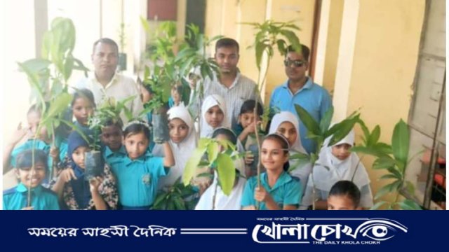নবীনগরে স্কুল শিক্ষার্থীদের উপহার স্বরূপ গাছের চারা বিতরণ