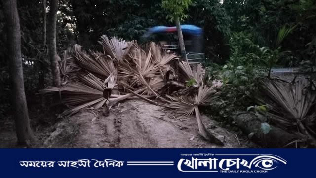 ফরিদপুরের সালথায় অর্ধশত বছরের চলাচলের পথ বন্ধ করে নতুন ঘর নির্মাণের অভিযোগ