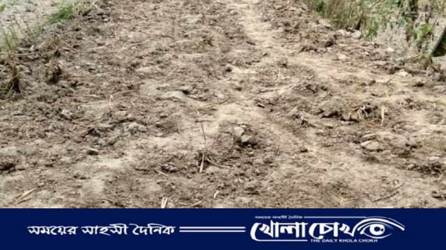 সরেজমিনে গিয়ে সোনাইমুড়িতে সড়ক সংস্কারে অনিয়মের অভিযোগের সত্যতা মেলেনি