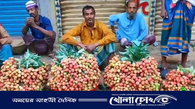 প্রতিদিন কোটি টাকার লিচু বেচাকেনা: জমজমাট ব্রাহ্মণবাড়িয়ার আউলিয়া বাজার