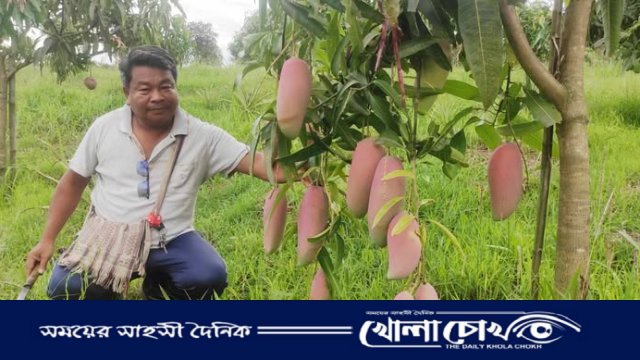 বনজ ফলের রাজ্যে আমের ঝলক, পাহাড়ি কৃষকের বাগানে রঙিন সাফল্য
