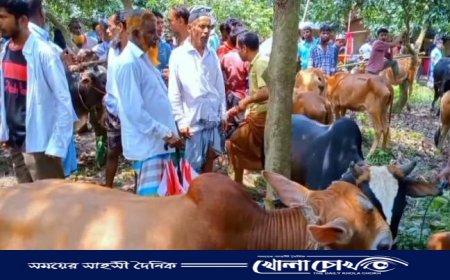 ঈদের আমেজে জমজমাট খিরাতলা কাঞ্চনপুর গরুর বাজার