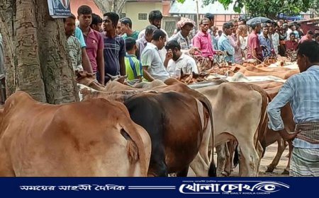কোরবানির ঈদ ঘিরে জমজমাট পশুর হাট, নিরাপত্তা জোরদারে মাঠে র‍্যাব-৫