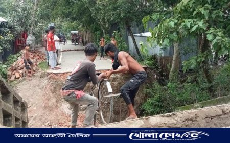 সালথায় ভারী বৃষ্টিতে গুরুত্বপূর্ণ ব্রিজ ধসে বিপাকে হাজারো মানুষ