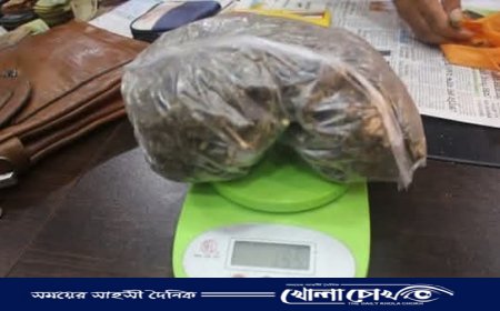 নওগাঁয় গাঁজাসহ কলেজছাত্রী গ্রেপ্তার