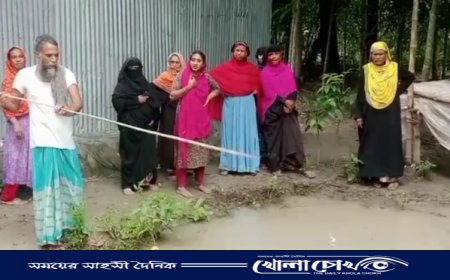 নগরকান্দায় ডোবার পানিতে ডুবে দুই বোনের মৃত্যু