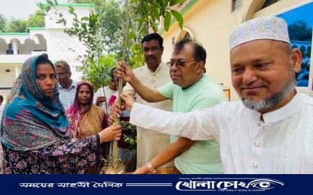 বোয়ালমারীতে মরহুম রোকেয়া বেগমের স্মরণে বৃক্ষরোপণ কর্মসূচি